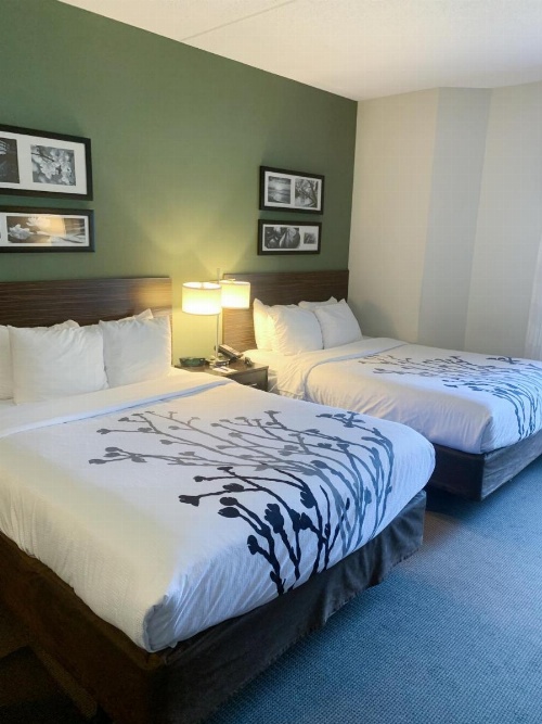 Sleep Inn & Suites Queensbury - Lake George image 5